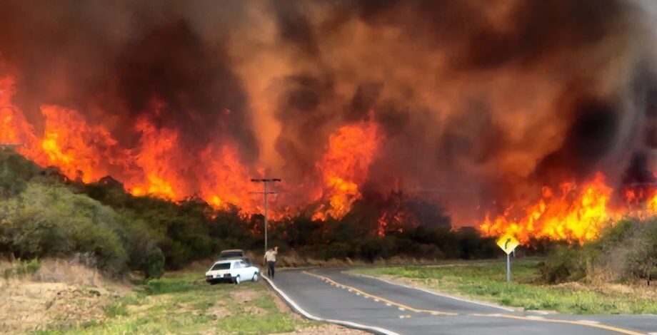 Lucha contra incendios: la Provincia recibió más de $1.000 millones